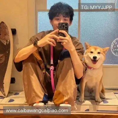 惠月泽